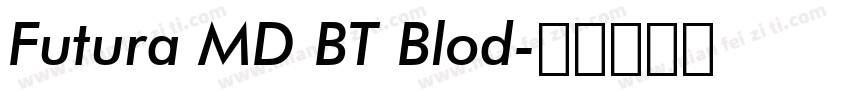 Futura MD BT Blod字体转换